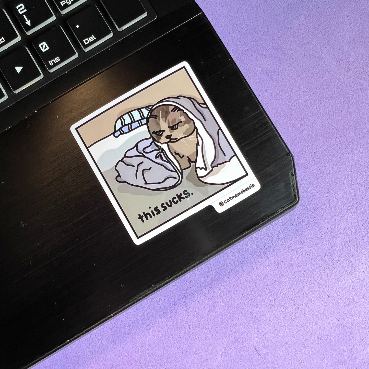 "discontinued" cat meme stickers