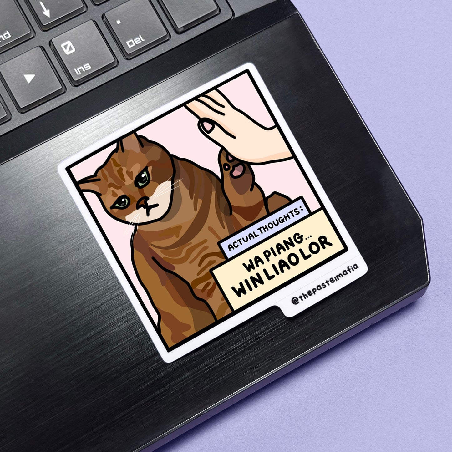 "still in university" cat meme stickers