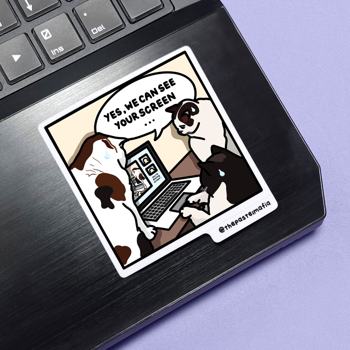 "aggressive & expressive" cat meme stickers