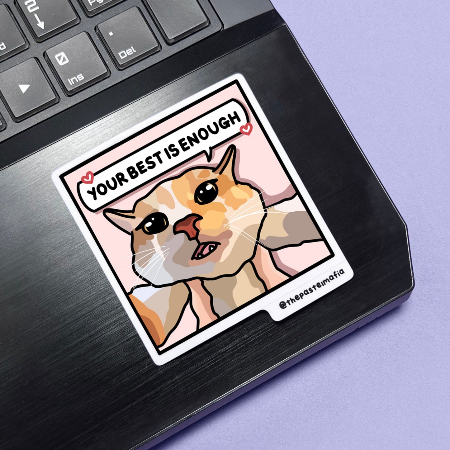 "still in university" cat meme stickers